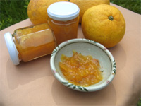 夏みかんジャム